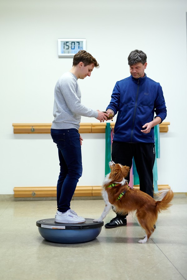 Therapeut Marko Drobela und die Therapiehündin Juni üben gemeinsam mit einem Patienten